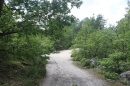 forêt des 3 Pignons
